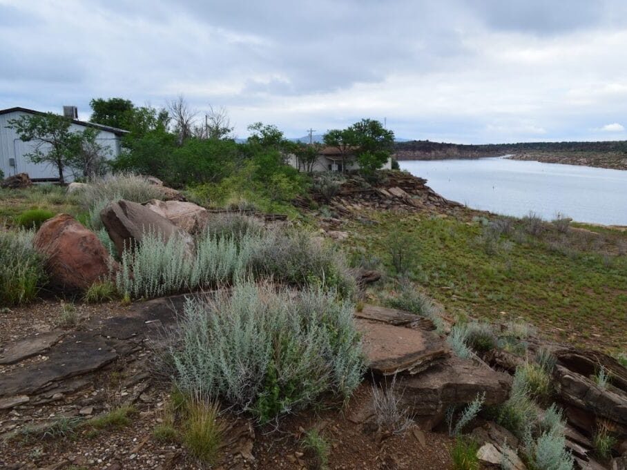 An arid landscape with rocks and shrubs, and houses and a waterbody in the background