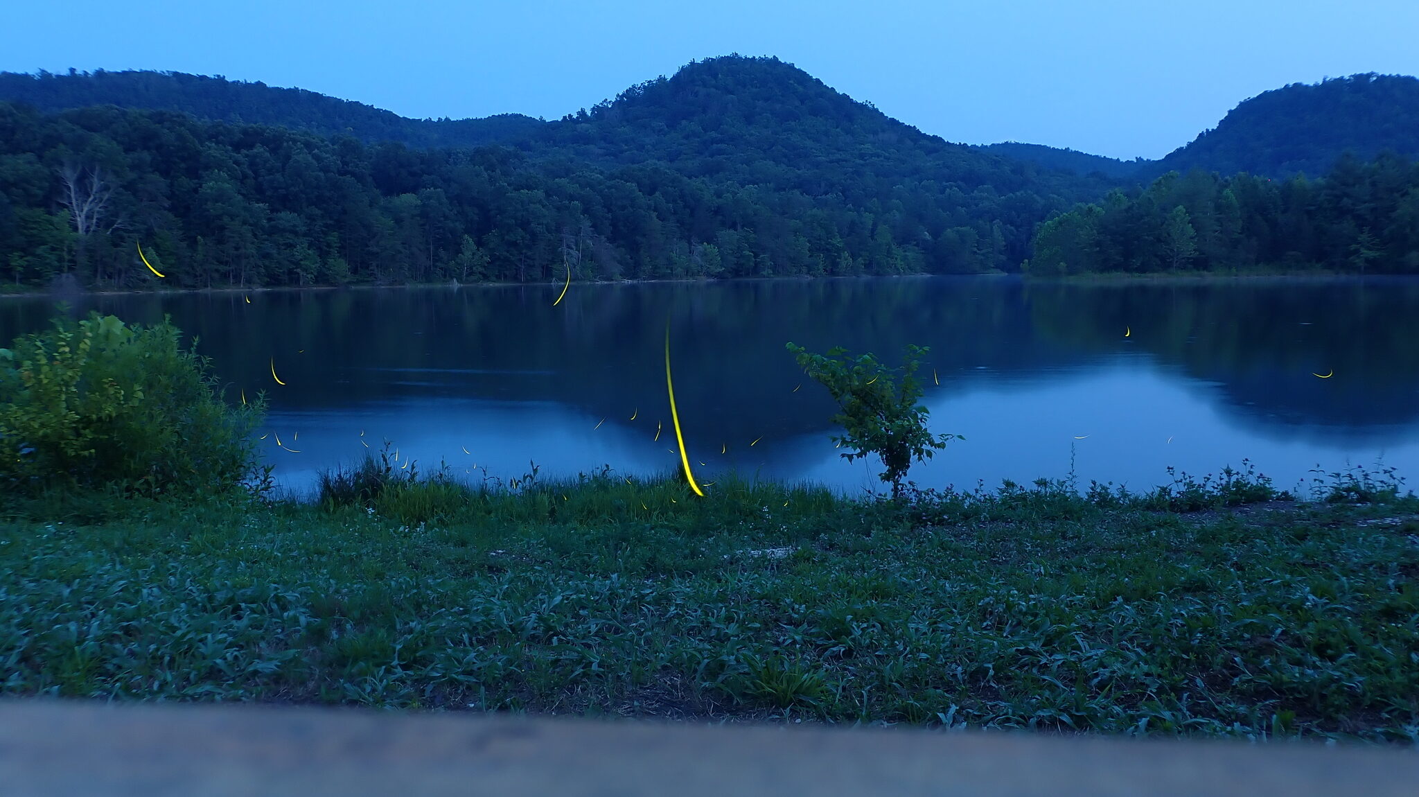 Upward trailing streaks of yellow in the foreground of forested hills and a still pond at dusk.