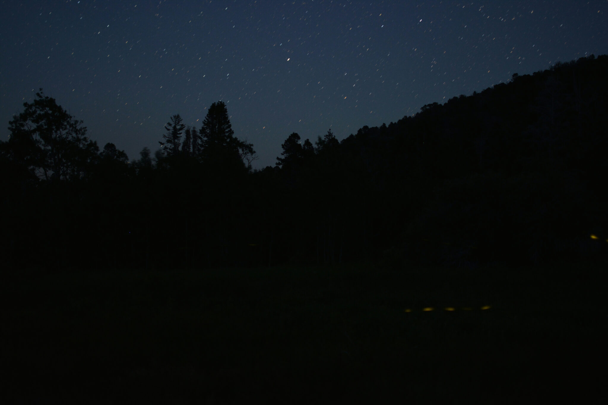 Four orange streaks are dotted against a black, nighttime background and a starry sky.