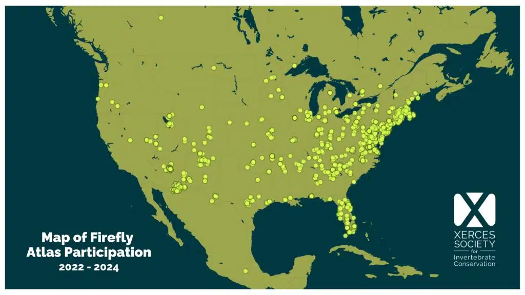 Map of the United States depicting locations of Firefly Atlas observations, from the years 2022-2024.