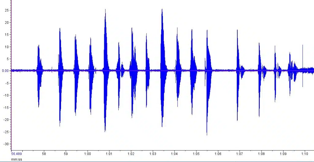 A chart with evenly spaced blue peaks, derived from a voice recording of a firefly observer narrating the flashes.