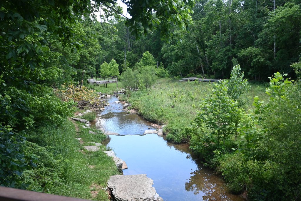 An image of a placid creek edged with stones running through an open grassy area. Surrounding the creek is a deciduous forest and in the background is a boardwalk and viewing deck.