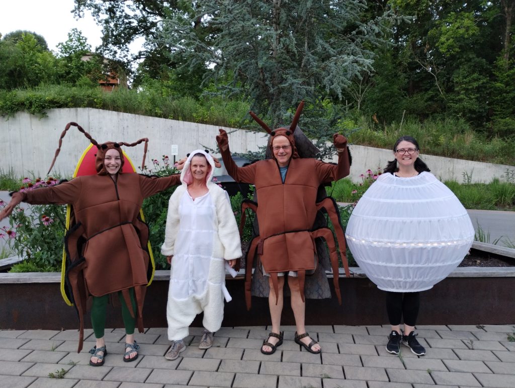 Four people stand in a row showing off their firefly life stage costumes. From left to right there is a firefly adult, a pupa, a larva, and an egg.