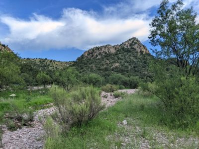 A desert landscape scene depicting a rocky hill in the distance with a dry wash in the foreground surrounded by grasses and green shrubs.