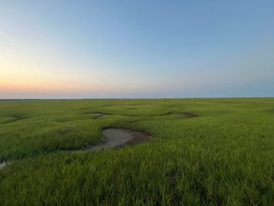 A verdant green salt marsh with a meandering water channel at sunset.