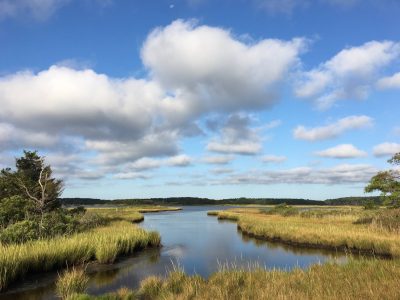 Tidal marsh habitat with open channels of water and emergent vegetation. A blue sky with puffy white clouds is overhead.