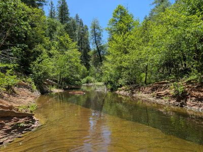 A landscape image depicting Oak Creek near Sedona, AZ. The creek has shallow greenish brown water and is lined with rocky banks and riparian trees.
