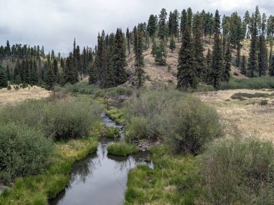 A landscape shot from the White Mountains of eastern Arizona showing a small creek with green riparian vegetation surrounded by dry hills and conifers.